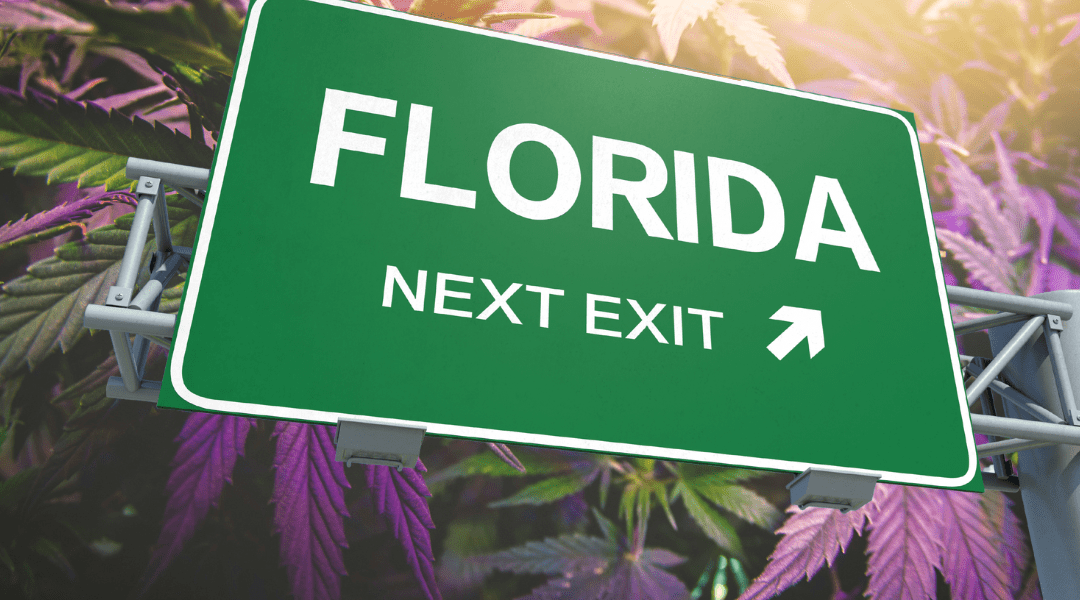 A Guide to Renewing Your Florida Medical Marijuana Card