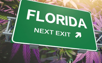 A Guide to Renewing Your Florida Medical Marijuana Card