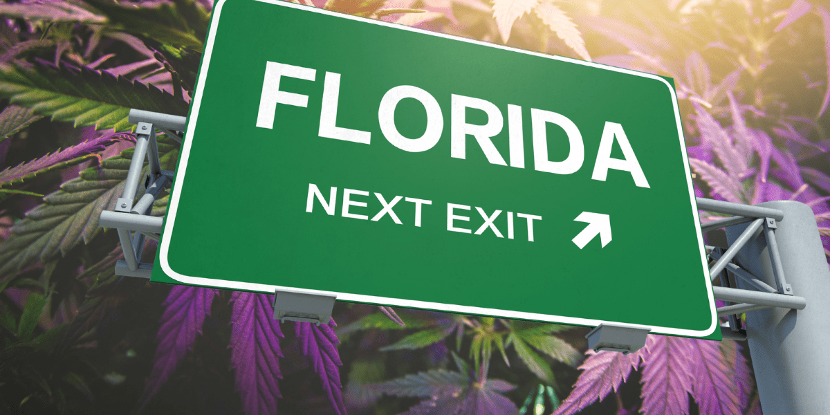 A Guide to Renewing Your Florida Medical Marijuana Card