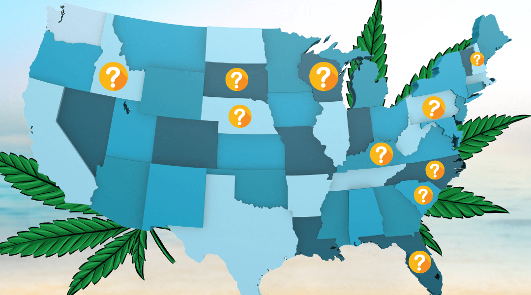A Year Outlook for Weed Laws