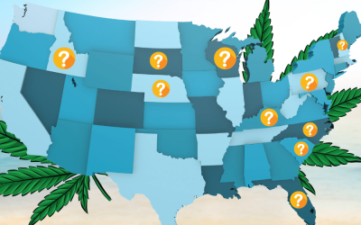 A Year Outlook for Weed Laws
