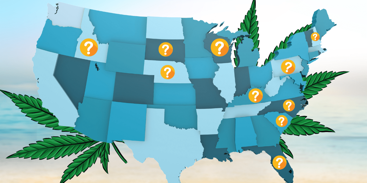 A Year Outlook for Weed Laws