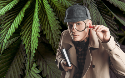 Demystifying the Varied Reactions to Cannabis Consumption