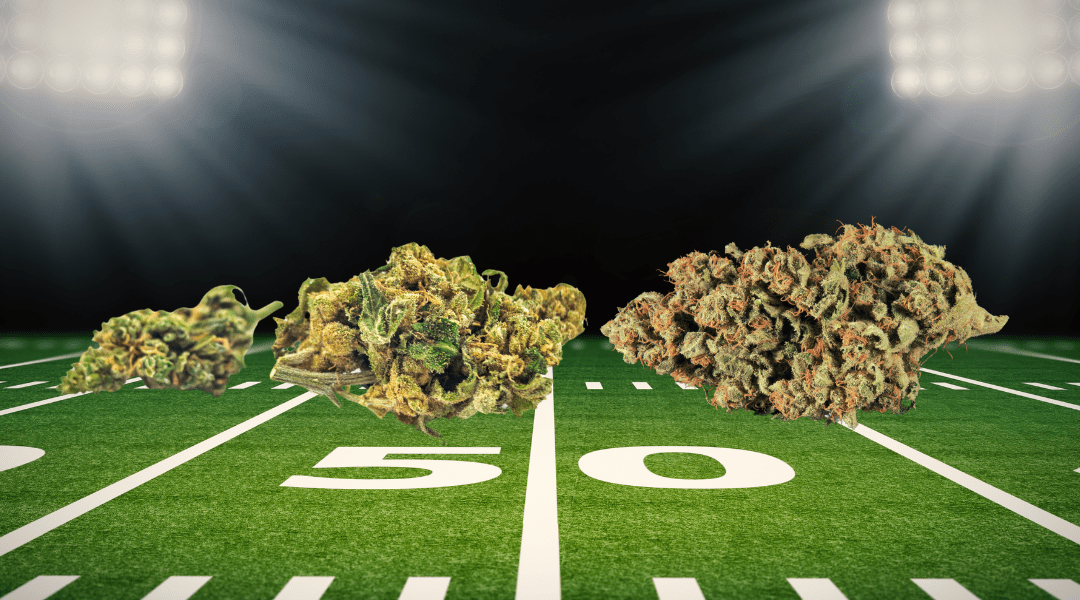 The Top Cannabis Strains for Super Bowl 2026