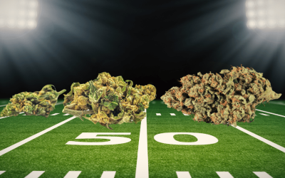 The Top Cannabis Strains for Super Bowl 2026