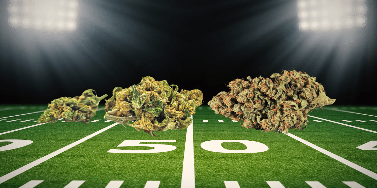 The Top Cannabis Strains for Super Bowl 2026