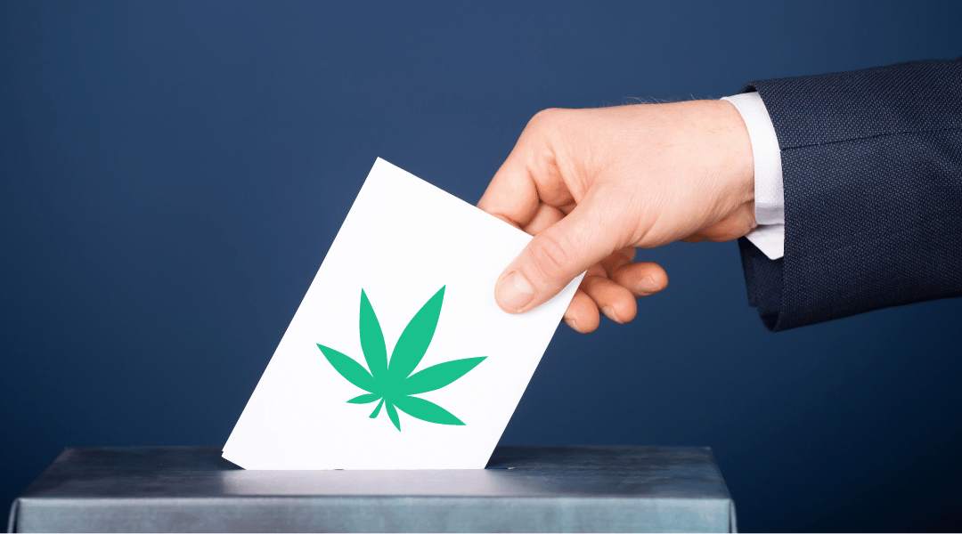 Florida Supreme Court Greenlights Recreational Marijuana Vote: What it Means for Medical Users