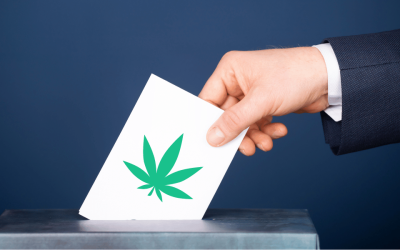 Florida Supreme Court Greenlights Recreational Marijuana Vote: What it Means for Medical Users