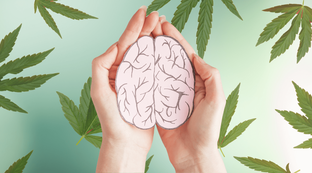How Marijuana Legalization Impacts Statewide Mental Health