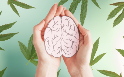 How Marijuana Legalization Impacts Statewide Mental Health