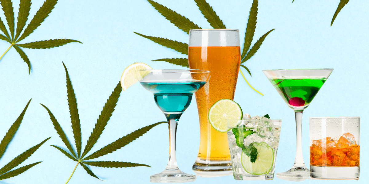 Marijuana and Alcohol Things You Need to Know