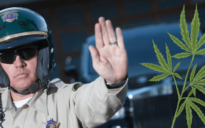 What to Do If You’re Stopped with Cannabis: A Patient’s Guide to Staying Safe & Legal