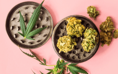 How to Reset Your Marijuana Tolerance