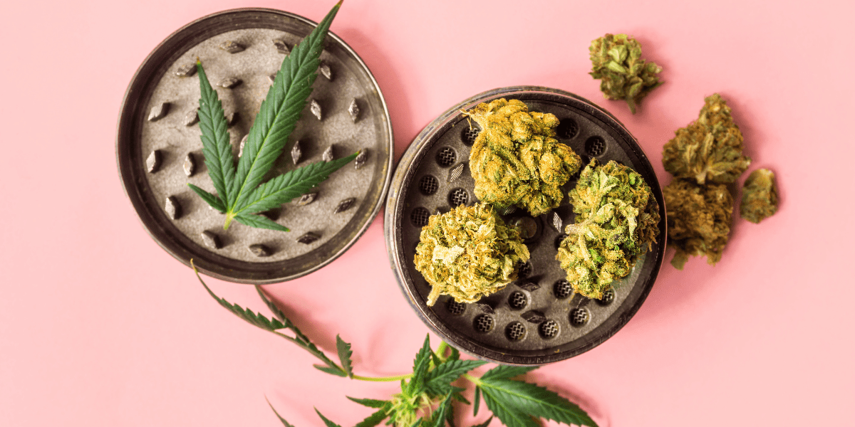 How to Reset Your Marijuana Tolerance
