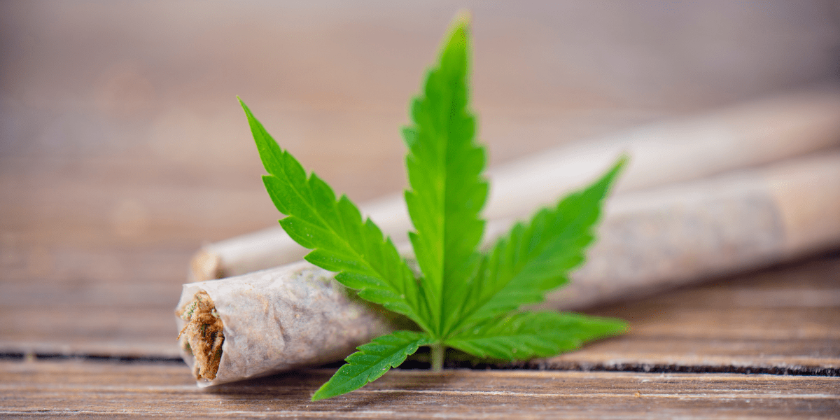 medical marijuana for adolescents