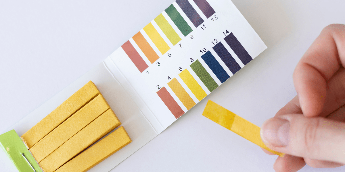testing ketone ph