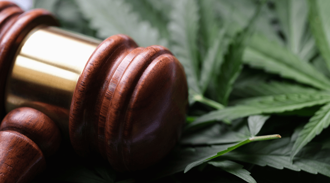 A Comprehensive Guide to Cannabis Legalization in the United States