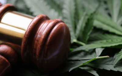 A Comprehensive Guide to Cannabis Legalization in the United States
