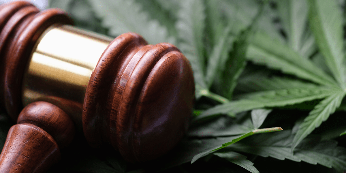 A Comprehensive Guide to Cannabis Legalization in the United States