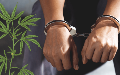 Can Felons Get a Medical Marijuana Card?