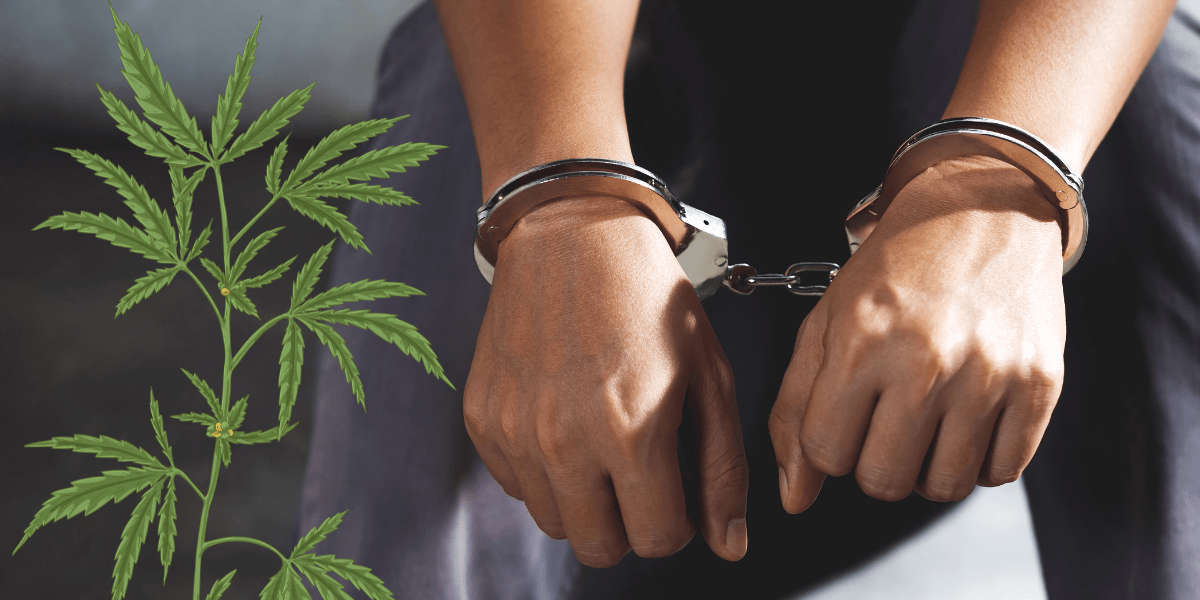 Can Felons Get a Medical Marijuana Card?