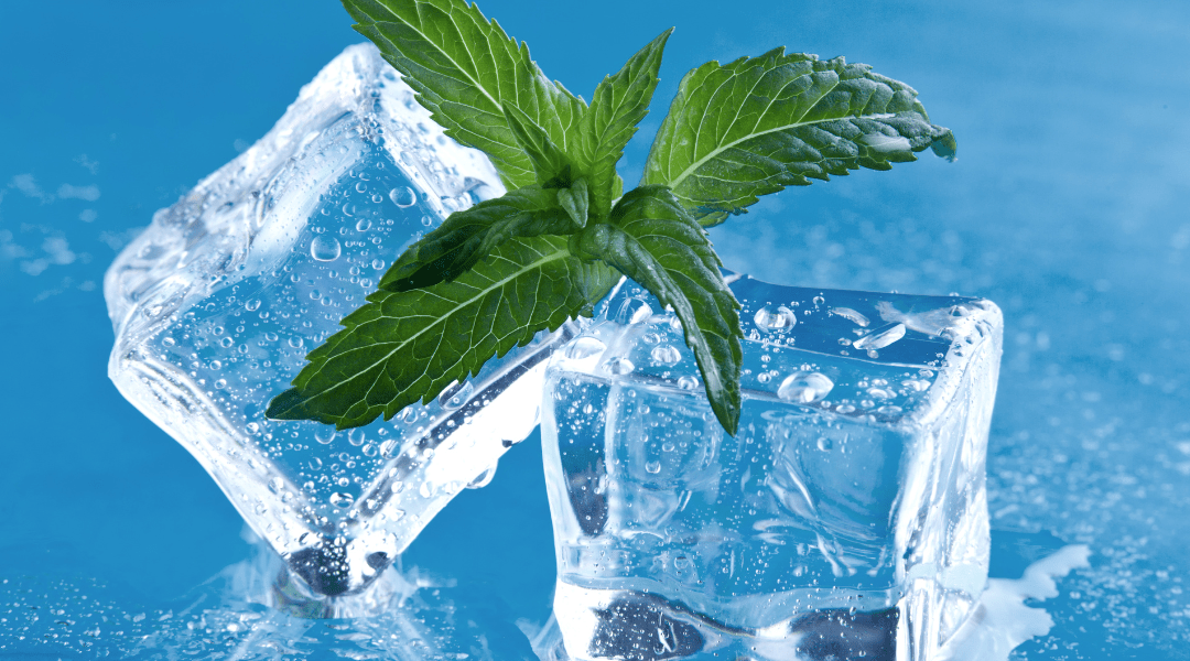 Icy Cool Mint Strains That Patients Love