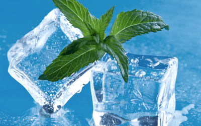 Icy Cool Mint Strains That Patients Love