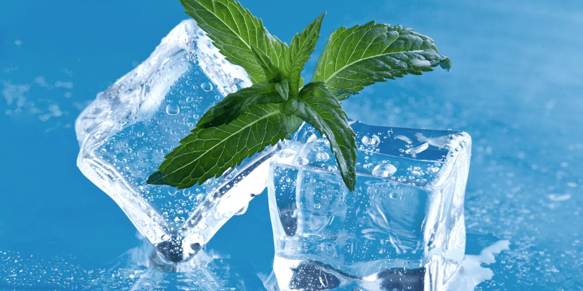 Icy Cool Mint Strains That Patients Love
