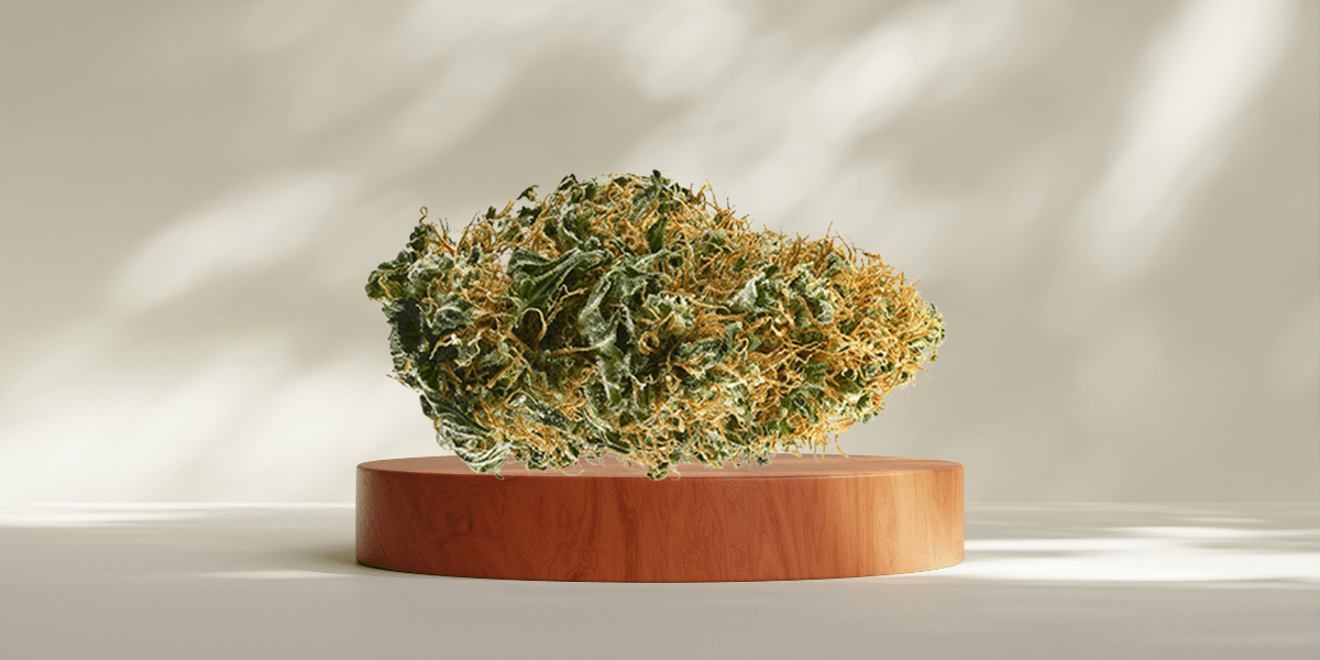 icy cool mint strains