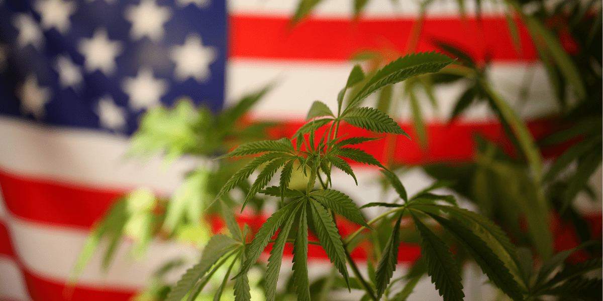 what states have legal weed