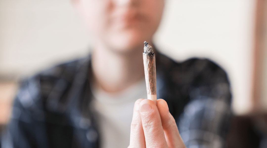 White Ash Myth Busted: Quality Vs. Color in Cannabis