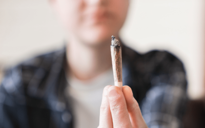 White Ash Myth Busted: Quality Vs. Color in Cannabis