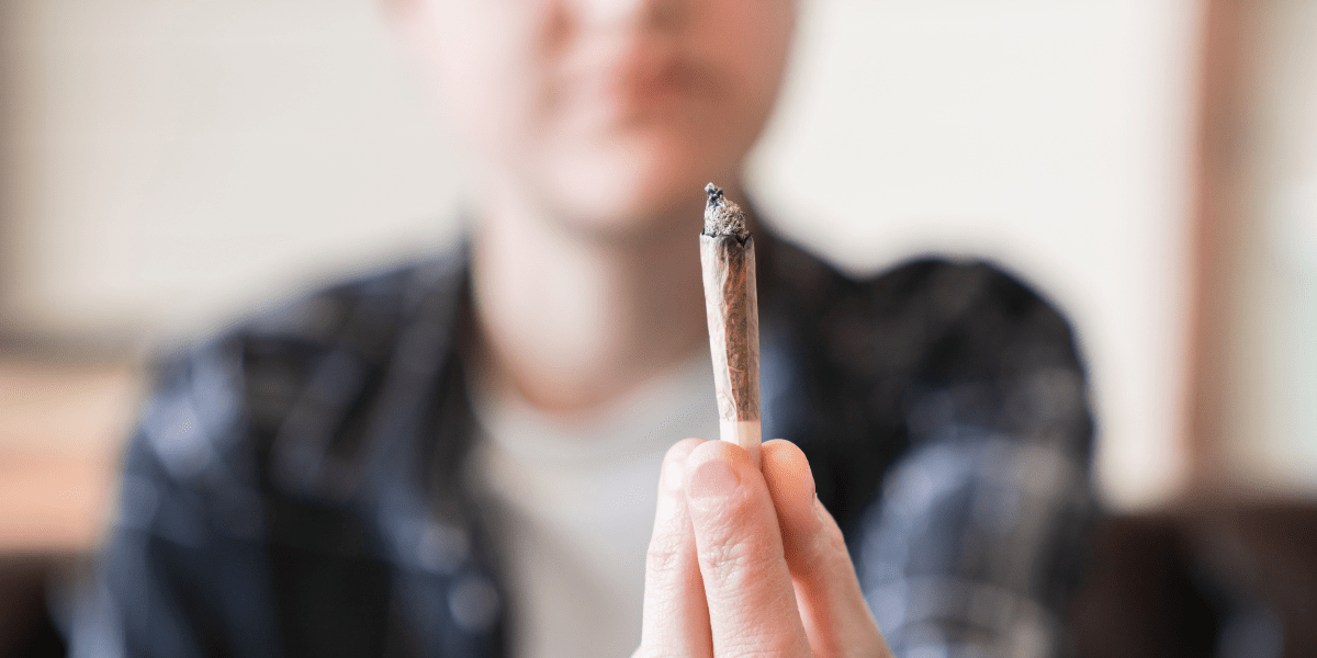 White Ash Myth Busted: Quality Vs. Color in Cannabis