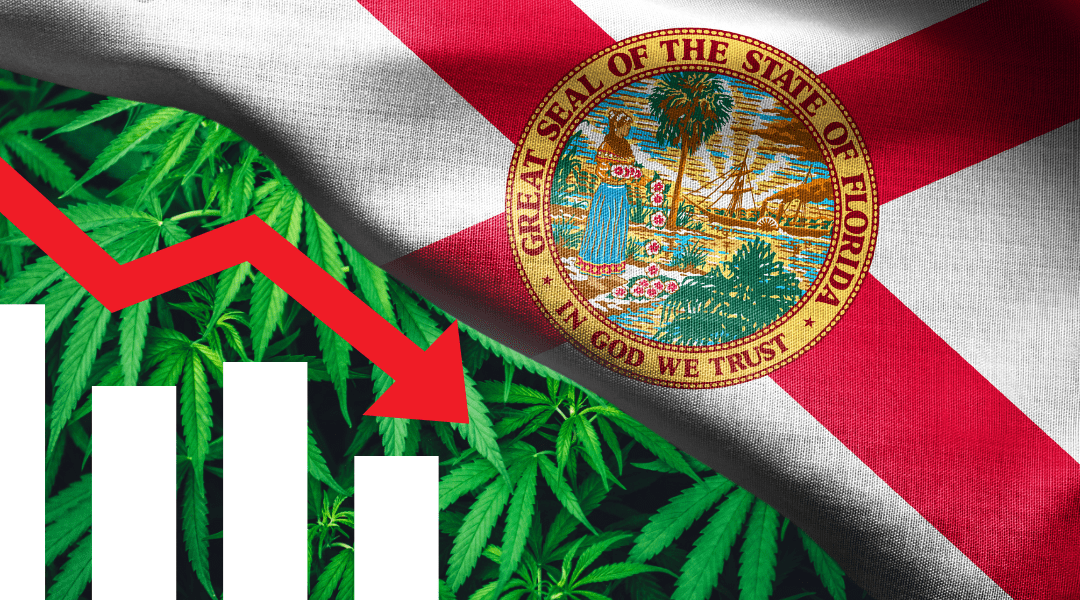 Florida’s Medical Marijuana Patient Registry: Growth Trends and a Dramatic Slowdown in 2024