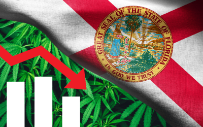Florida’s Medical Marijuana Patient Registry: Growth Trends and a Dramatic Slowdown in 2024