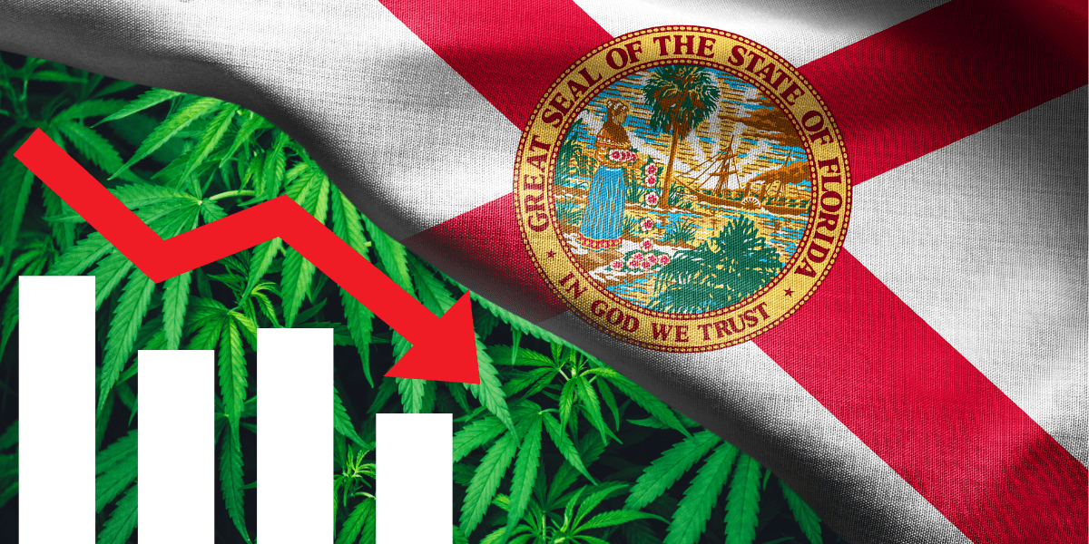 Florida’s Medical Marijuana Patient Registry: Growth Trends and a Dramatic Slowdown in 2024