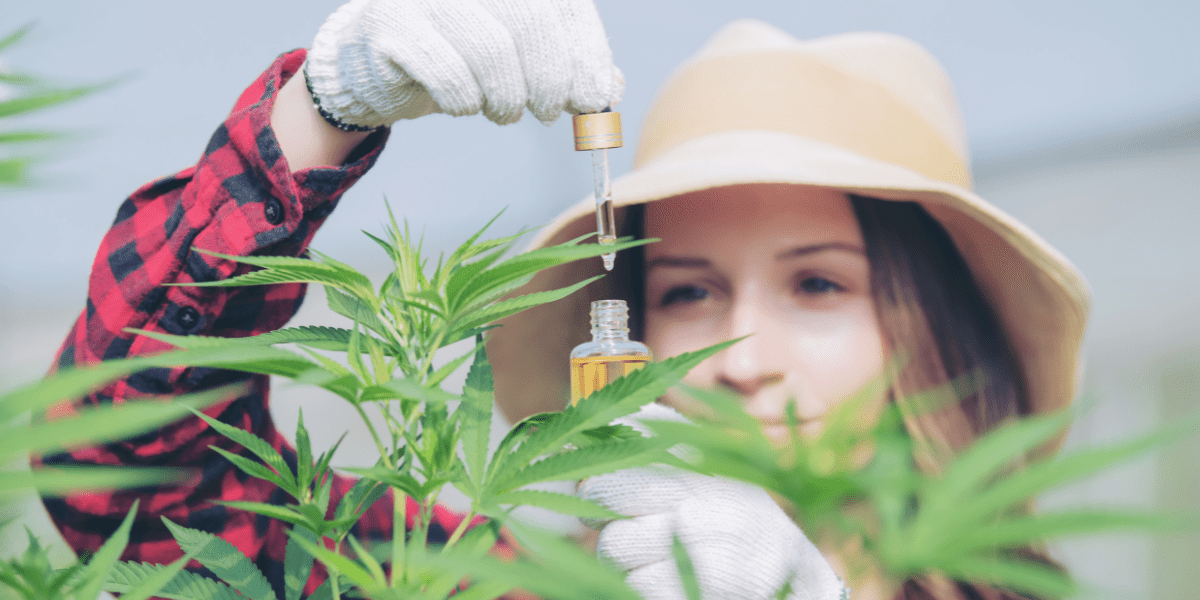 future of hemp derived cannabinoids in question farm bill 2024 update