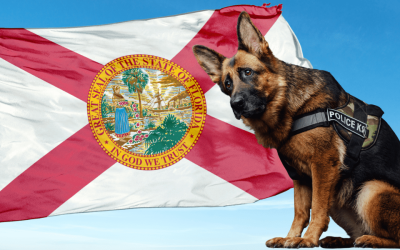 Florida’s Upcoming Vote: Possible Implications for Marijuana-Sniffing K-9s and Law Enforcement