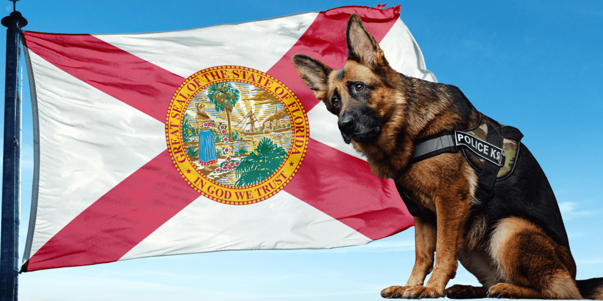 Florida’s Upcoming Vote: Possible Implications for Marijuana-Sniffing K-9s and Law Enforcement