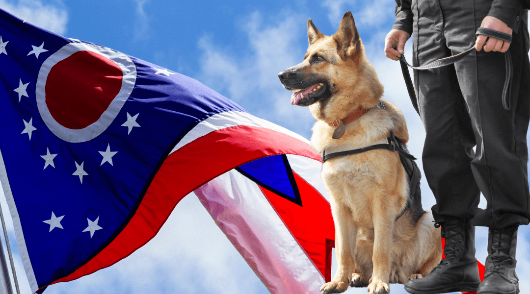 Retirement for Ohio’s Marijuana Sniffing K-9s: A Look at the Proposal