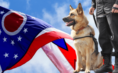 Retirement for Ohio’s Marijuana Sniffing K-9s: A Look at the Proposal