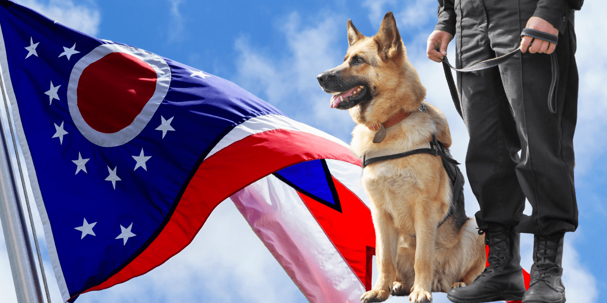 Retirement for Ohio’s Marijuana Sniffing K-9s: A Look at the Proposal