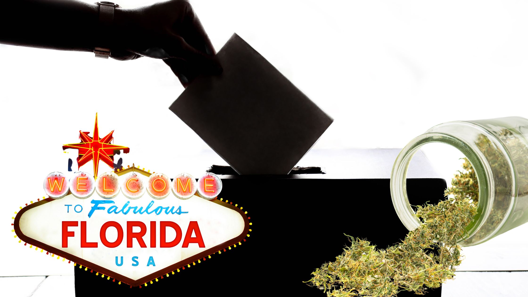 Florida Hits Milestone for 2026 Marijuana Ballot