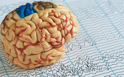 Cannabis and Epilepsy: A Growing Hope for Families in Florida and Around the World