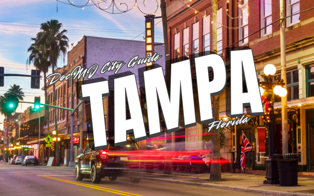 The Complete Guide to Cannabis in Tampa