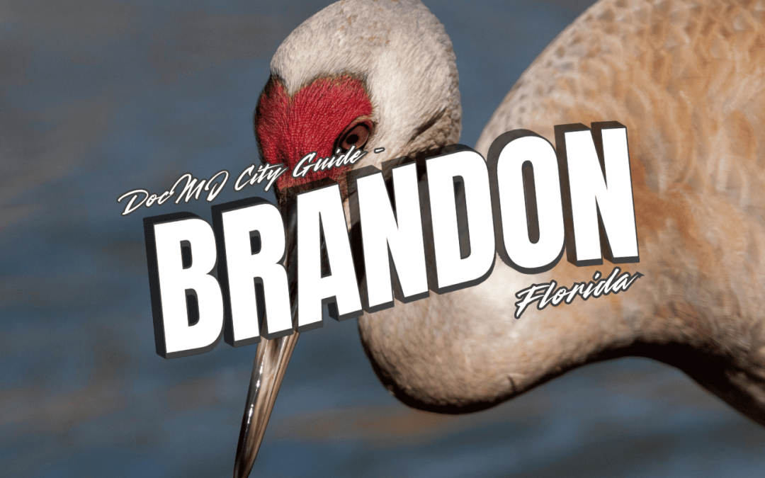 The Complete Guide to Cannabis in Brandon, FL