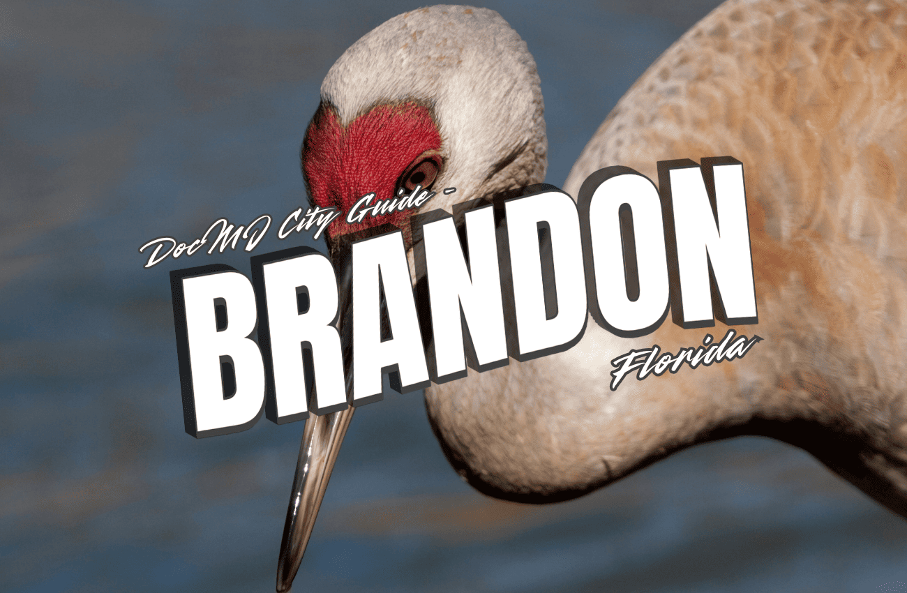 The Complete Guide to Cannabis in Brandon, FL