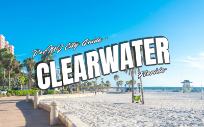 The Complete Guide to Cannabis in Clearwater, FL