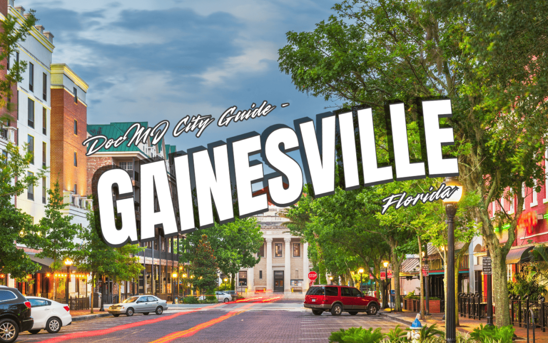 The Complete Guide to Cannabis in Gainesville