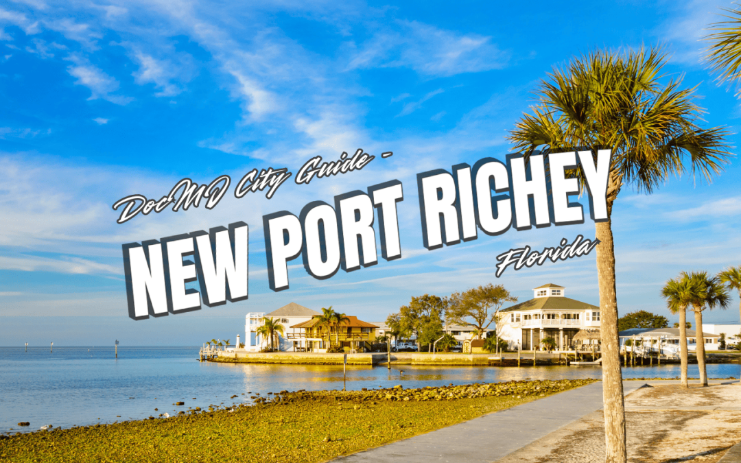 The Complete Guide to Cannabis in New Port Richey, FL